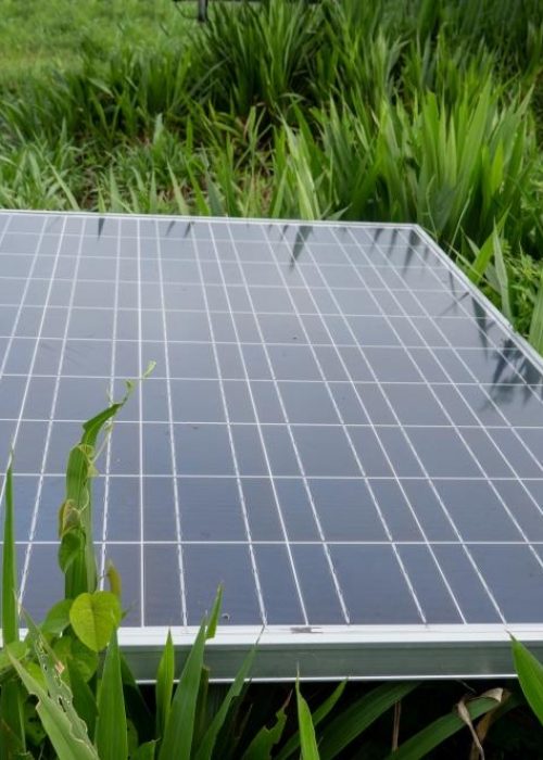 solar-cell-panels-2021-08-30-04-36-56-utc